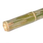 CAÑA ESPECIAL